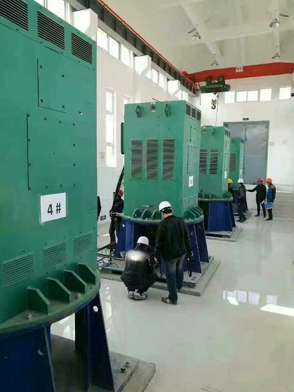 YKK7105-12某污水处理厂使用我厂的立式高压电机安装现场